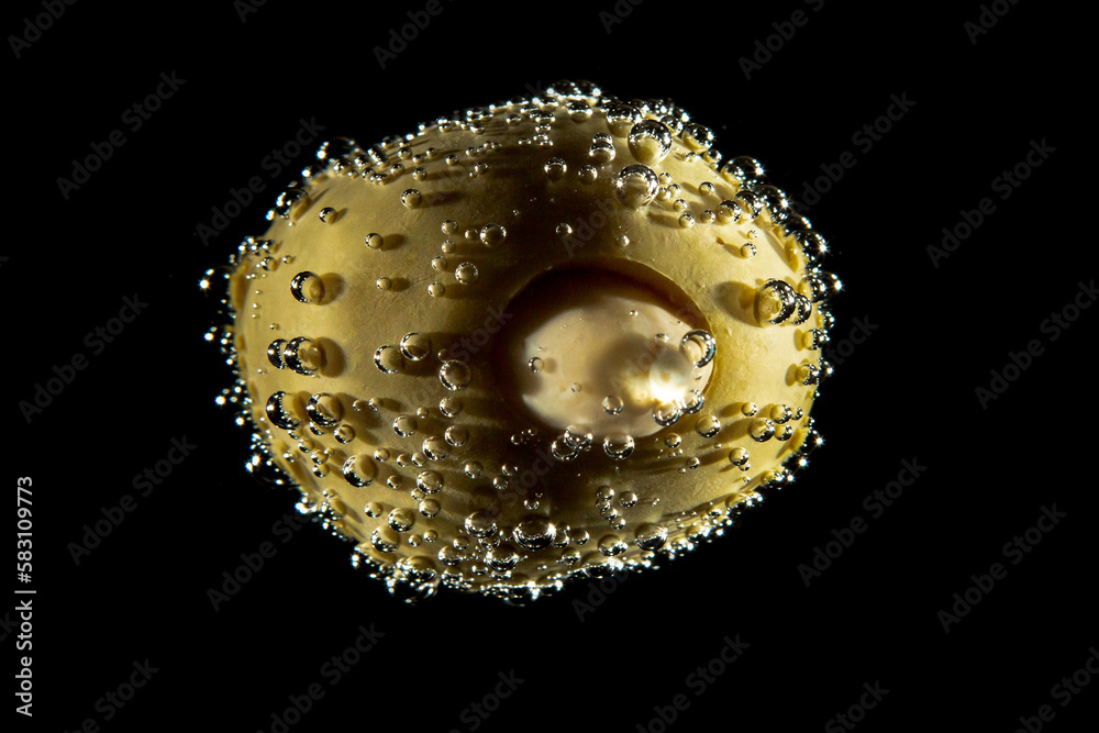 close up of an olive with almond and bubbles in soda water close up of an olive with almond and bubbles in soda water