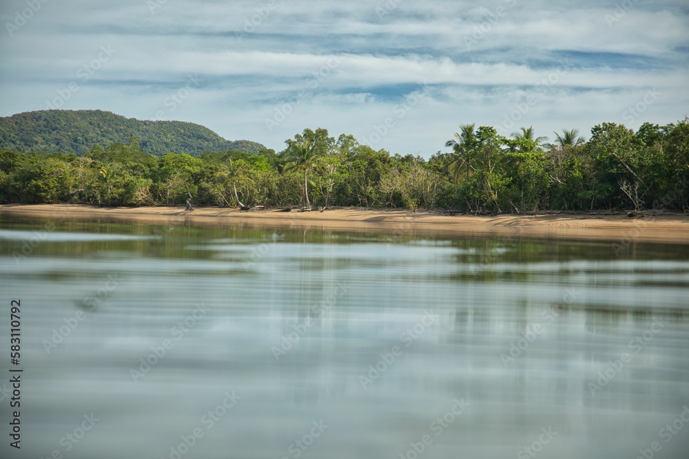Idyllic sandy beach in Coron in the Philippines densely overgrown with palm trees and other trees, water in the foreground, hills in the background. Idyllic sandy beach in Coron in the Philippines densely overgrown with palm trees and other trees, water in the foreground, hills in the background.