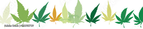 Green Canabis Leafs on White Background