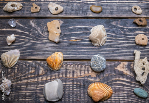 Seashells and pebbles on a wooden background with a place to copy.