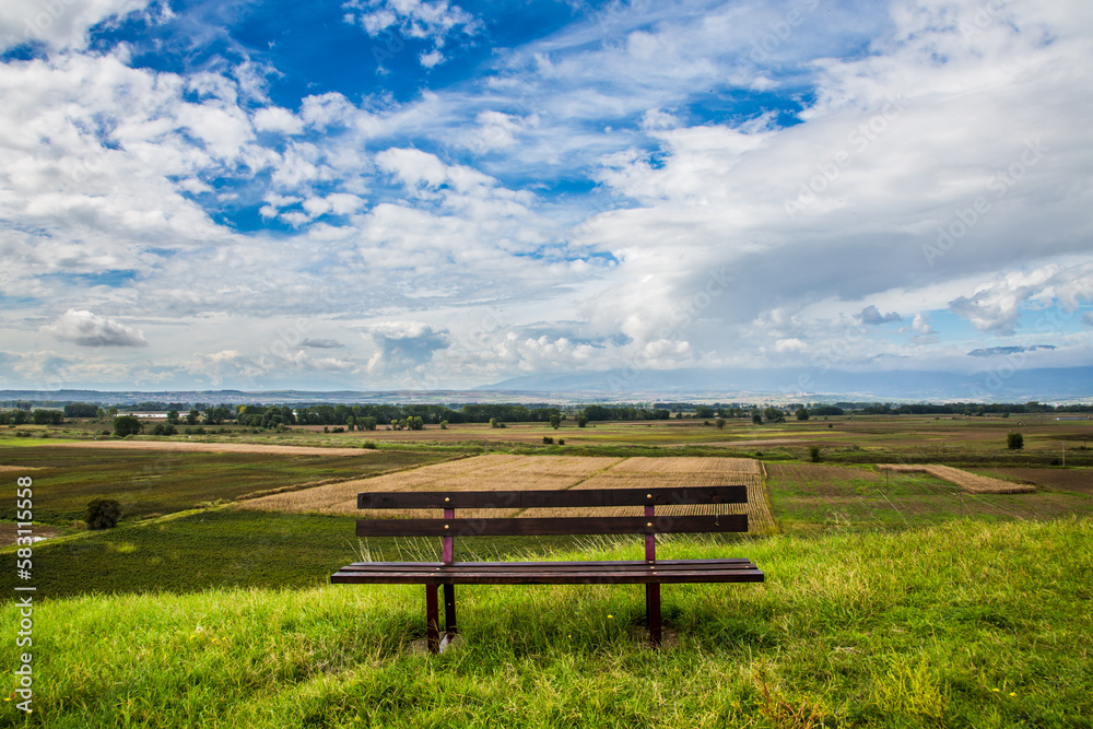 bench in the field