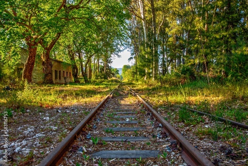 railway in autumn