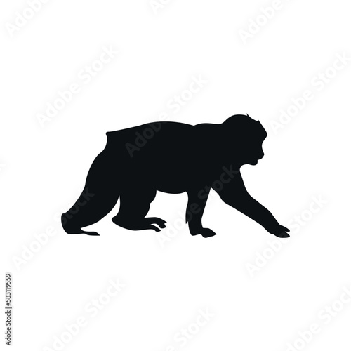 Monkey vector silhouette  wild animal flat design isolated on white background.