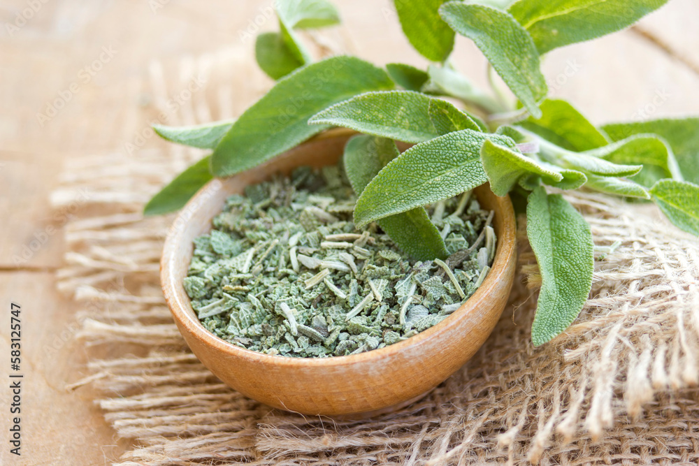 fresh and dried sage fresh and dried sage