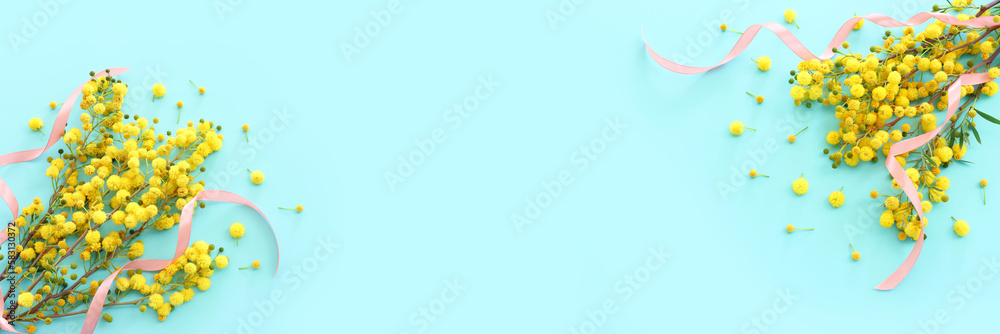 Top view image of spring yellow mimosa flowers composition over pastel blue background