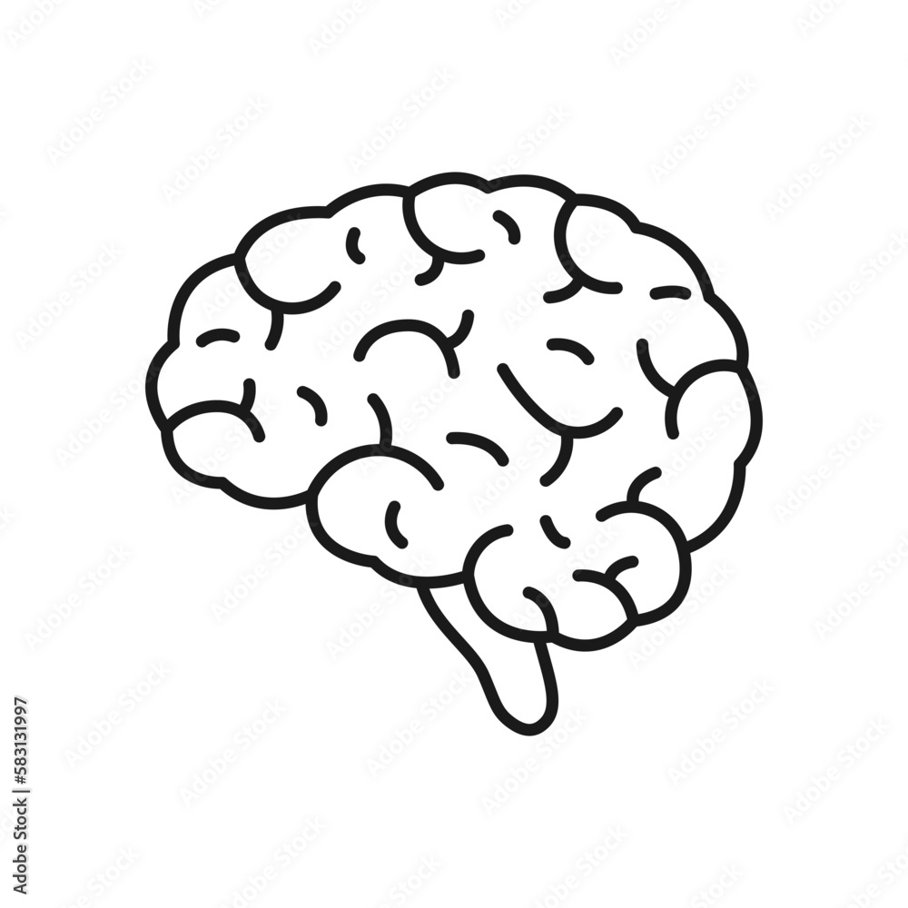 Human brain icon. High quality black vector illustration. Human brain icon. High quality black vector illustration.