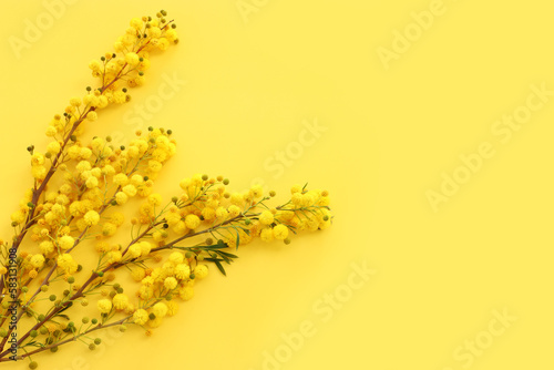 Top view image of spring yellow mimosa flowers composition background