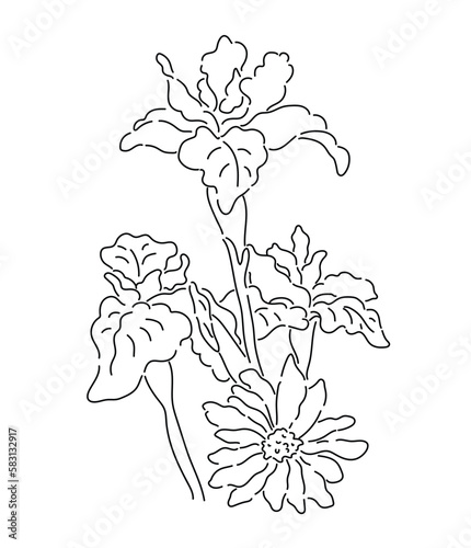 Hand drawn irish vector, wildflower line art