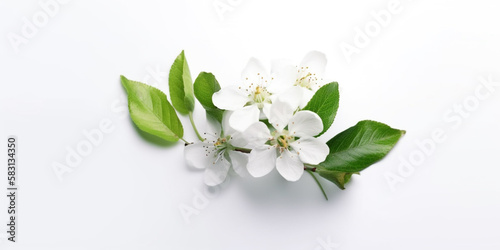 Spring is in the Air: Apple Blossoms Abound. AI Generated Art. Wallpaper, Concept Art, Whitespace. © Slothland Studio