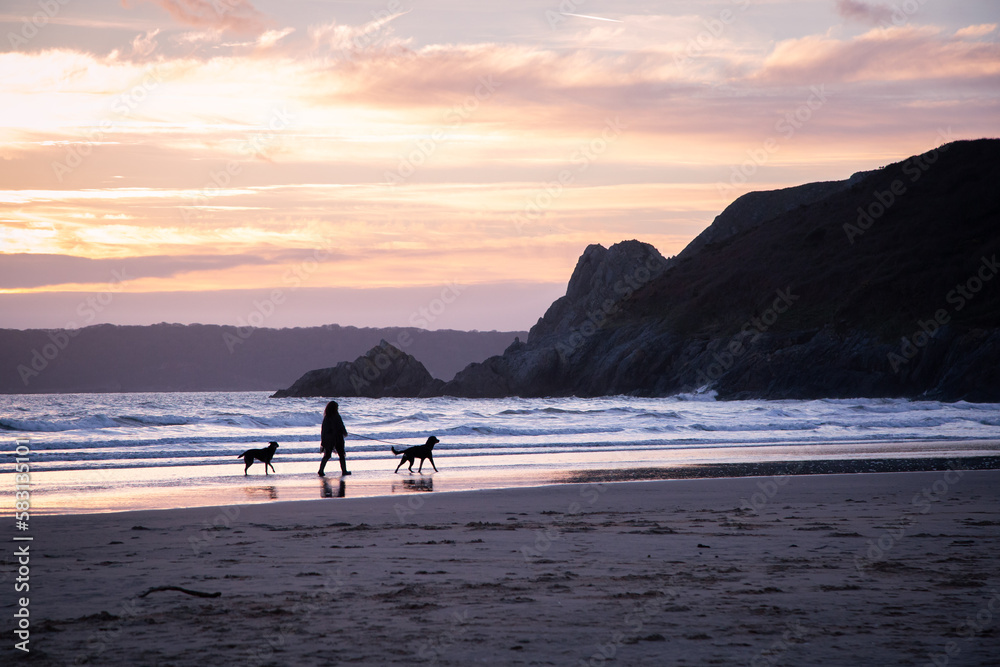 Dogs walking on a beach at sunset in Wales. Beautiful warm glow reflecting in the water and sand.