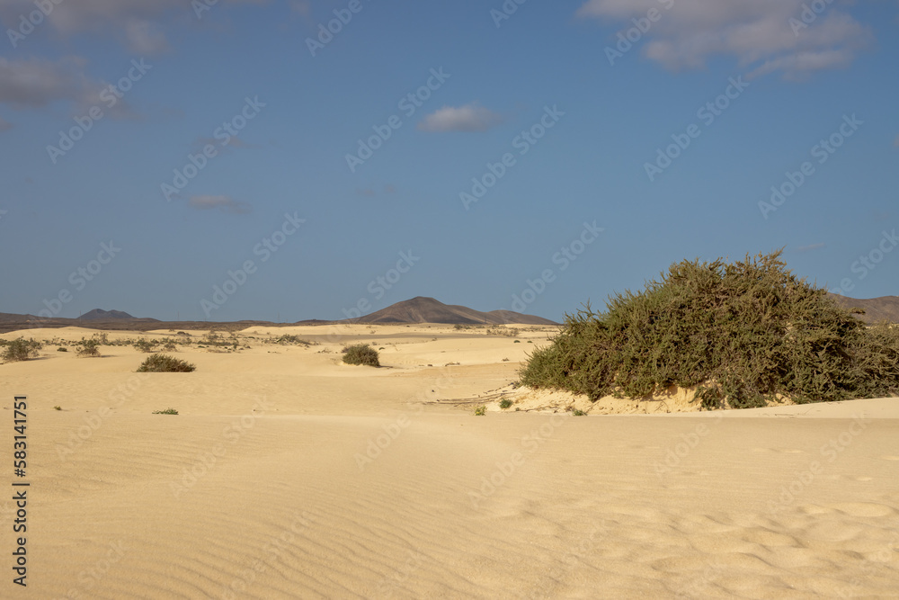 Desert and a blue sky, Fuerteventura