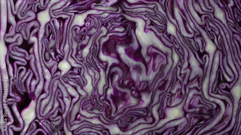 Background of blue cabbage in a section, macro photography. Close up, top view. Texture and pattern of raw purple cabbage, rotate Background of blue cabbage in a section, macro photography. Close up, top view. Texture and pattern of raw purple cabbage, rotate