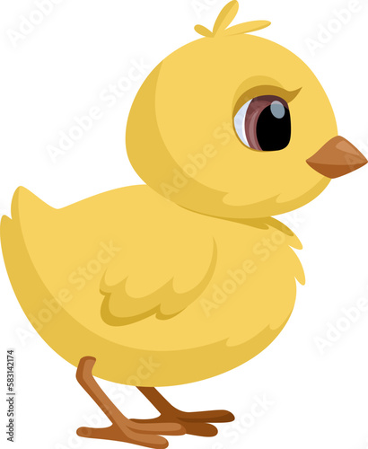 Cute standing chick. Little cartoon chicken for Easter and second design. Vector illustration Isolated on white background. photo