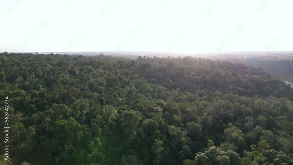 Bosque frondoso desde un drone en Iguazú misiones argentina Bosque frondoso desde un drone en Iguazú misiones argentina