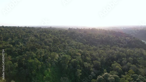 Bosque frondoso desde un drone en Iguazú misiones argentina