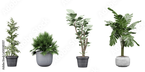 Set of Beautiful Cut-Out Plant Photos Isolated Greenery cutout transparency backgrounds 3d illustration png