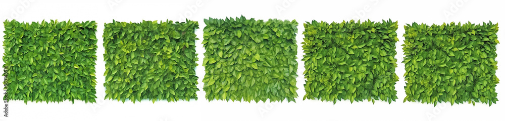 Fototapeta premium set of green leaf banners. Generative AI