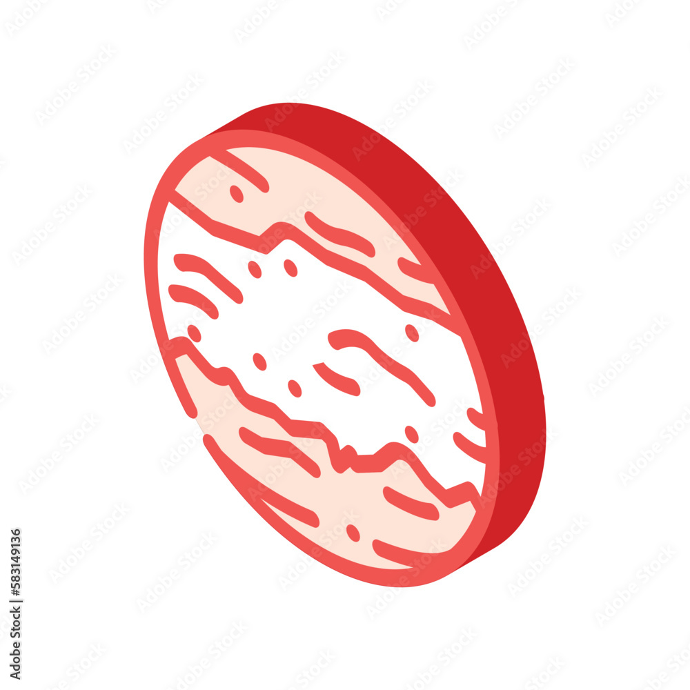 mars planet isometric icon vector illustration mars planet isometric icon vector illustration