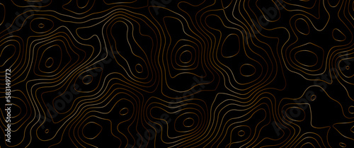 Luxury gold abstract line Topographic map art background. Gold mountain contour lines. Gold line waves on black background. Abstract background with lines and circles. Gold black Topography terrain.