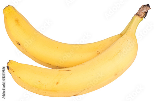 Bunch of bananas isolated on white or transparent background