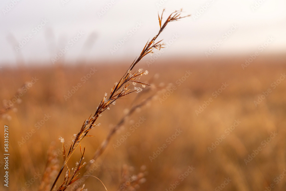 Savanna landscapes in Ezemvelo Nature Reserve Savanna landscapes in Ezemvelo Nature Reserve
