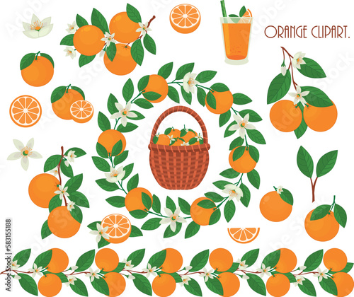 Clipart oranges. Citrus collection.