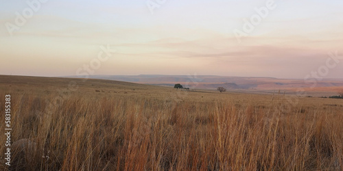 Savanna landscapes in Ezemvelo Nature Reserve