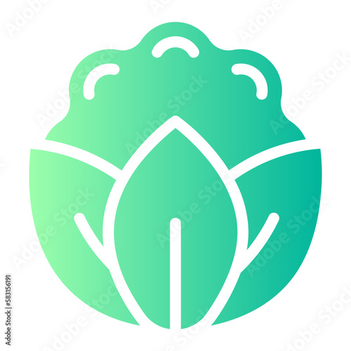 cauliflower gradient icon