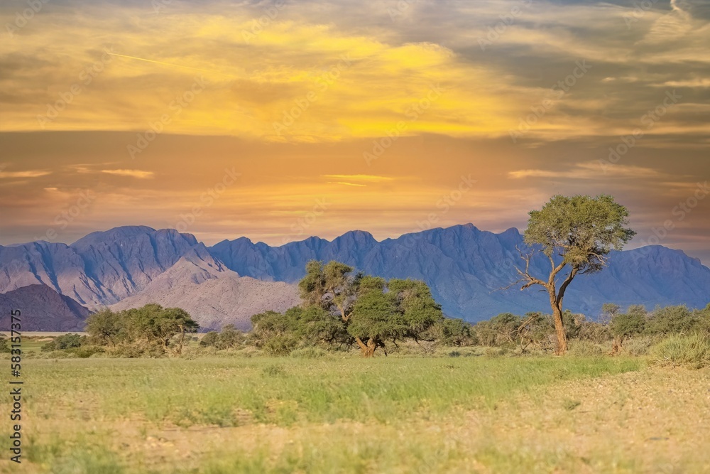 Obraz premium Namibia, the Namib desert, wild landscape