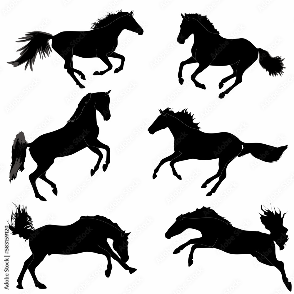 A set of high quality detailed horse silhouettes, logos, icons A set of high quality detailed horse silhouettes, logos, icons