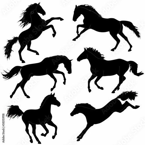 A set of high quality detailed horse silhouettes, logos, icons photo