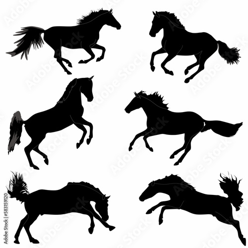 A set of high quality detailed horse silhouettes, logos, icons