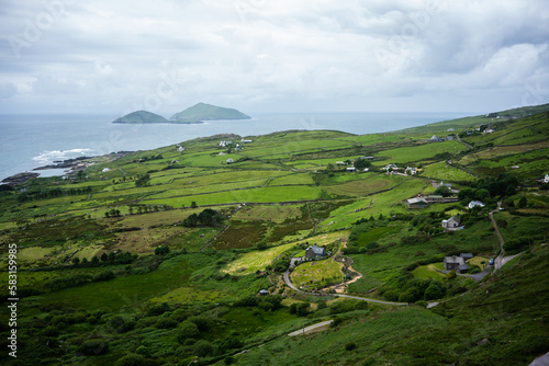 Vibrant green Ireland landscape travel photography