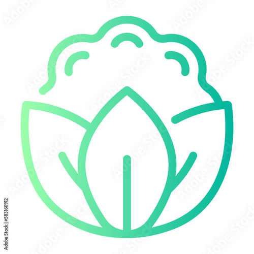 cauliflower gradient icon