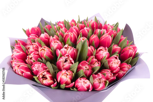 pink tulips isolated on white © Михаил Макаренко
