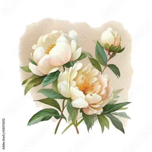 Hand drawn watercolor illustration of beautiful white Peony. Vector, Isolated on white background. Element for design of invitations, movie posters, fabrics and other objects.