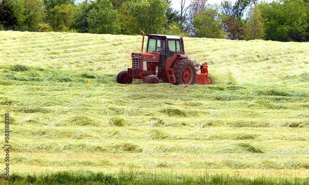 Obraz premium Hay Worker