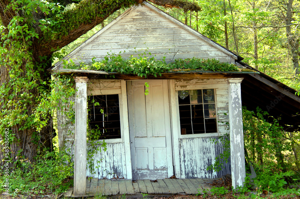 Abandoned to the Elements Abandoned to the Elements