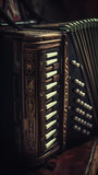 Vintage accordion with wood engravings