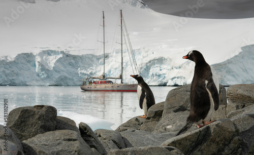 Expedition Antarctica photo