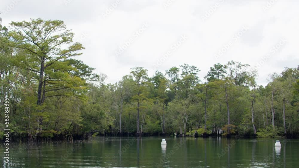 Shot of natural spring lake yellowing trees and gloomy sky background, Florida Shot of natural spring lake yellowing trees and gloomy sky background, Florida