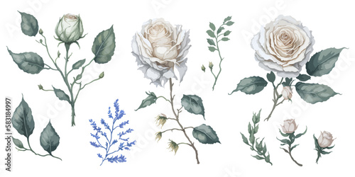 Collection of Painted White Roses in Different Shades.