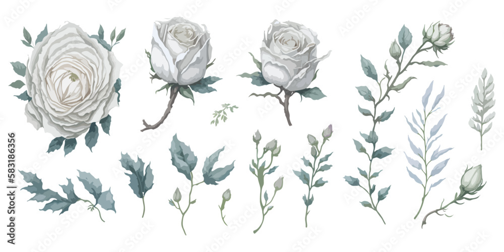 Graphic Design with Watercolor White Roses and Vignetting Effect.