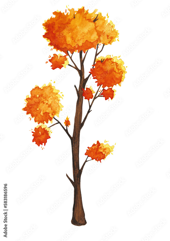 Various Trees Watercolor Illustrations Various Trees Watercolor Illustrations