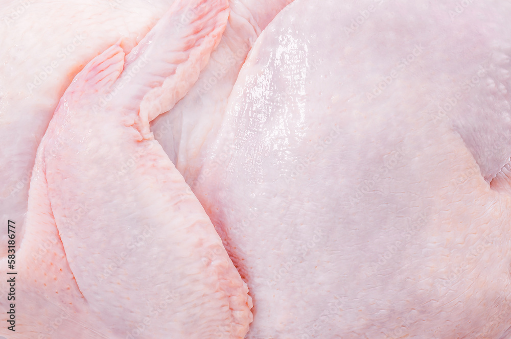 Fototapeta premium Chicken, raw carcass close-up, wing, skin, full depth of field