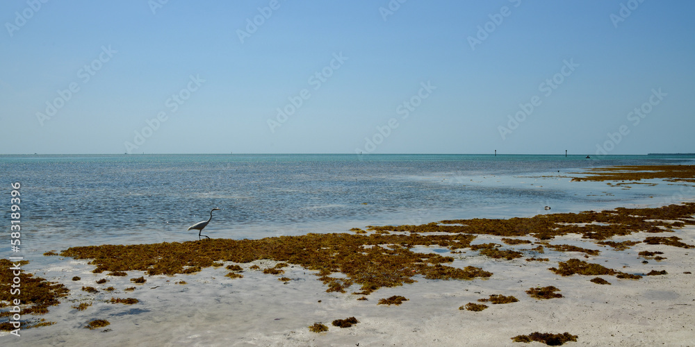 Anne's Beach Islamorada, Florida Keys