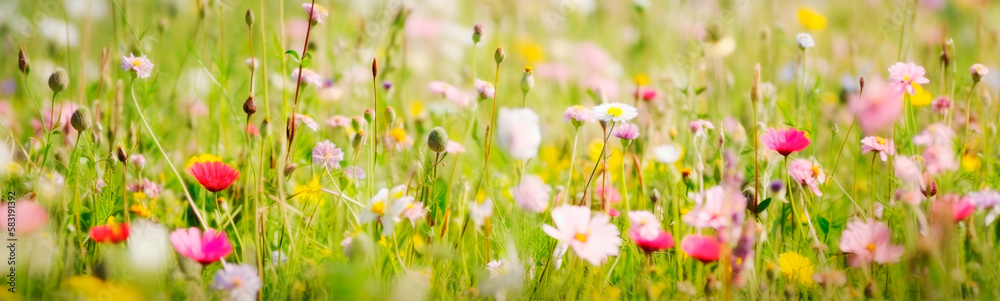 Field flowers are blooming in the meadow. Generative AI,