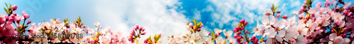Flowers spring sky banner. Generative AI,