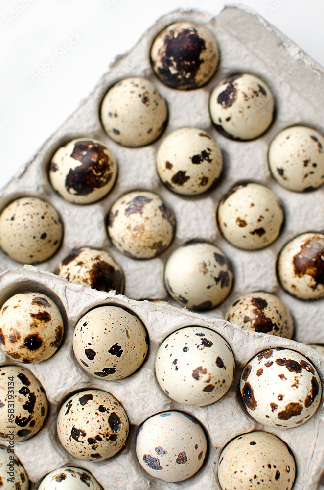 Quail eggs in a paper tray Quail eggs in a paper tray
