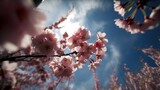 Japanese cherry blossom flowers in the wind, Generative AI